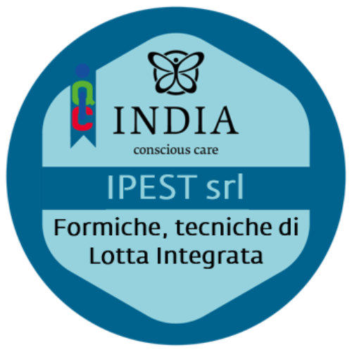 Formiche, tecniche di lotta integrata.